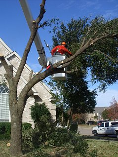 Complete Tree Services Inc.