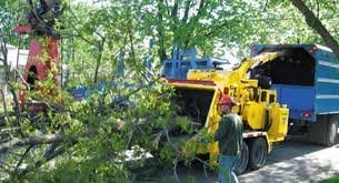 Chipper Services - Complete Tree Services Inc.